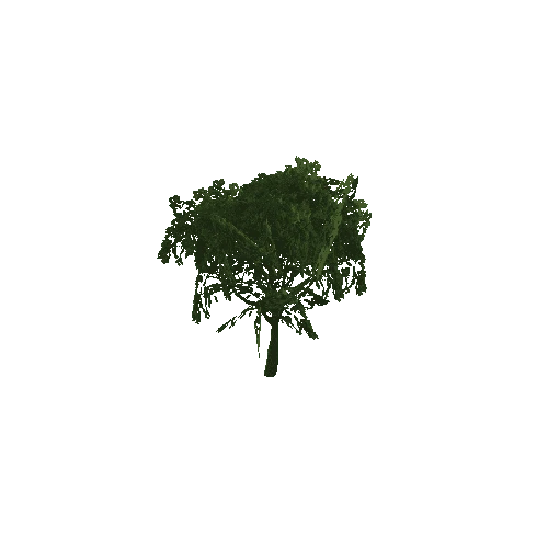 Green Tree (Type 1) Medium 2
